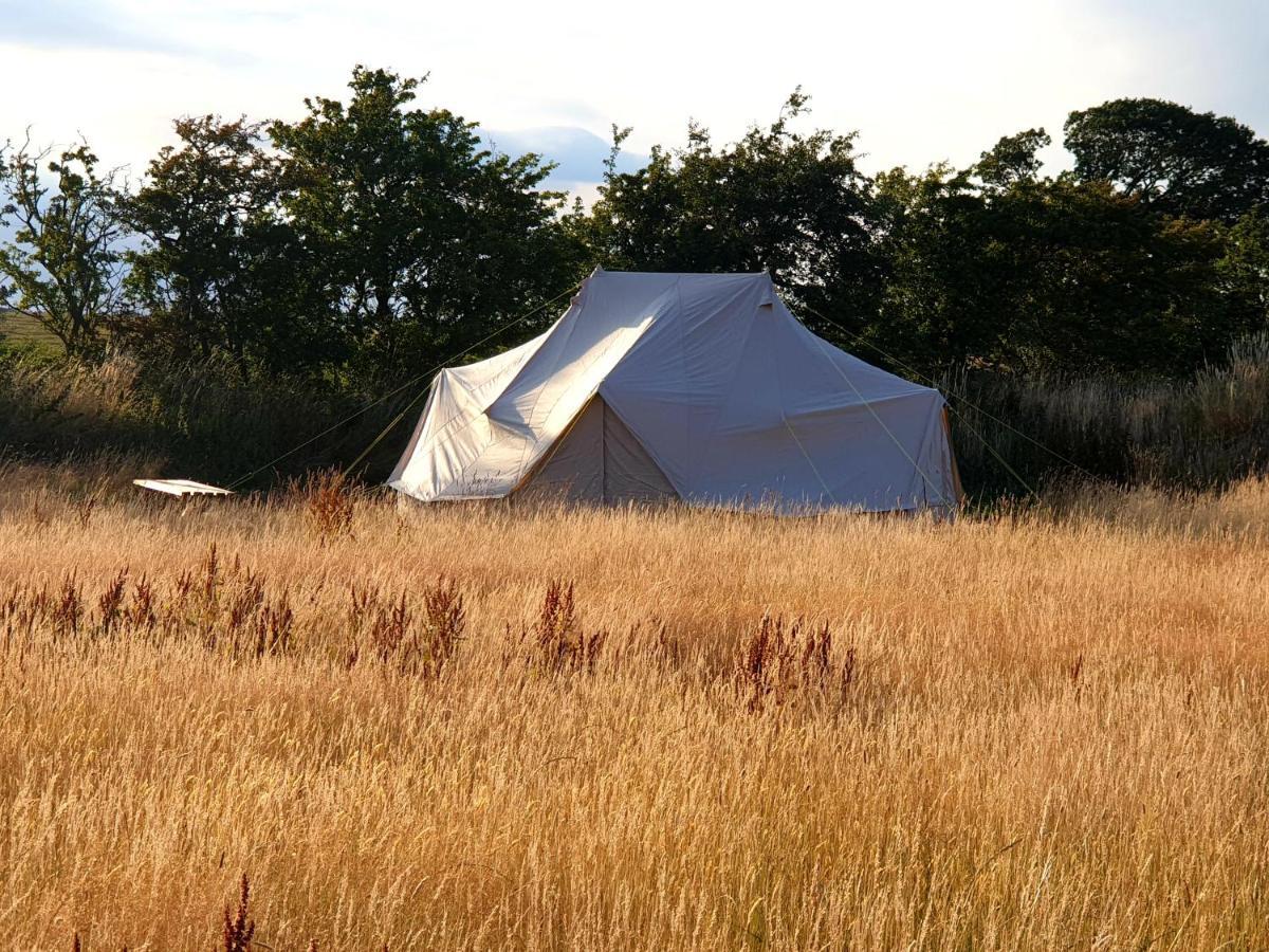 6M Emperor Tent Near Whitby With Log Burner Liverton Εξωτερικό φωτογραφία